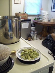 Gergasko's kitchen is full of home brewing equipment
