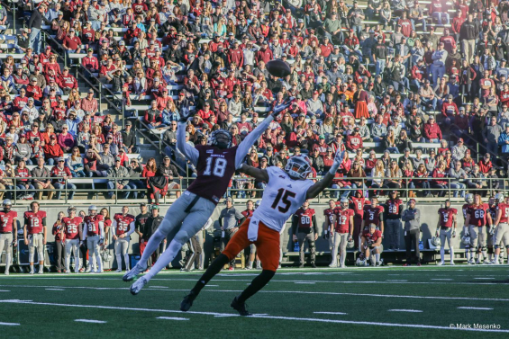 14939356_1140605549309423_4737021230901897133_o