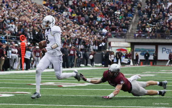 15123211_1153276144709030_476204865655099836_o