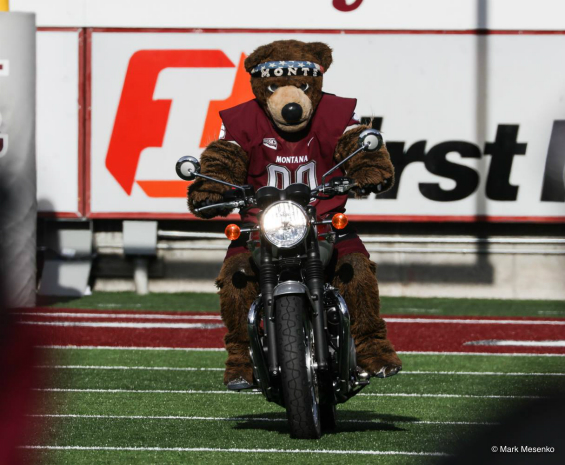 15167442_1153277968042181_663856894823012655_o