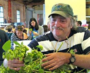 Hop to it. Jim Munro pulls viable hops off the vine at Kettlehouse Northside's Hop Picking Party.