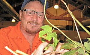 "I feel hoppy, oh so hoppy!"