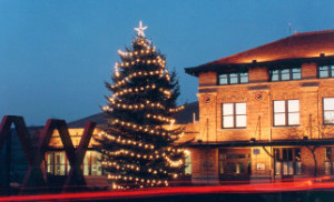 Lit Christmas Tree in Downtown Missoula. Photo Courtesy of MDA. 