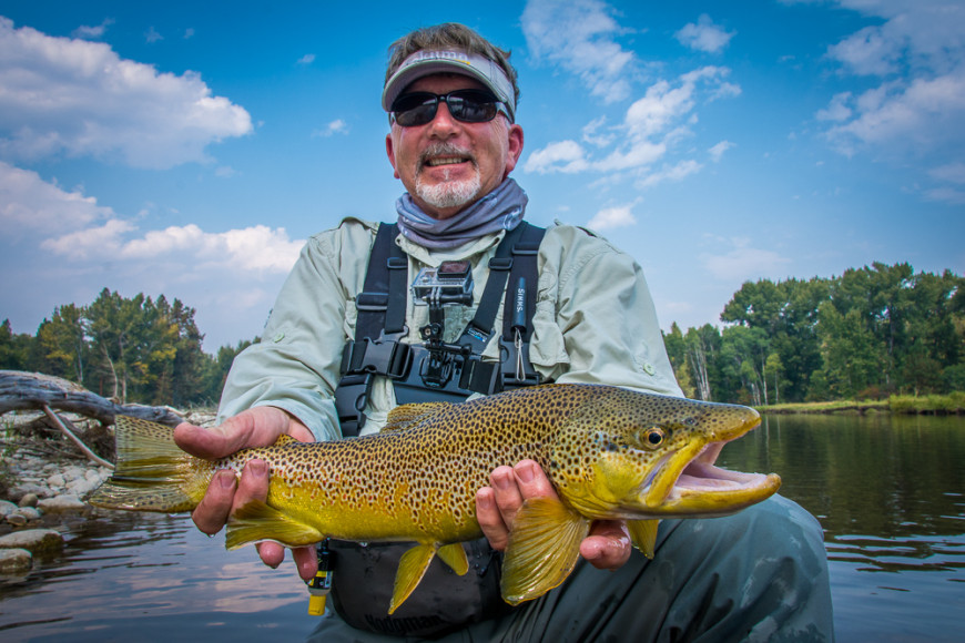 Brown Trout. Fall Fly Fishing in Missoula. Photo by © Tony Reinhardt