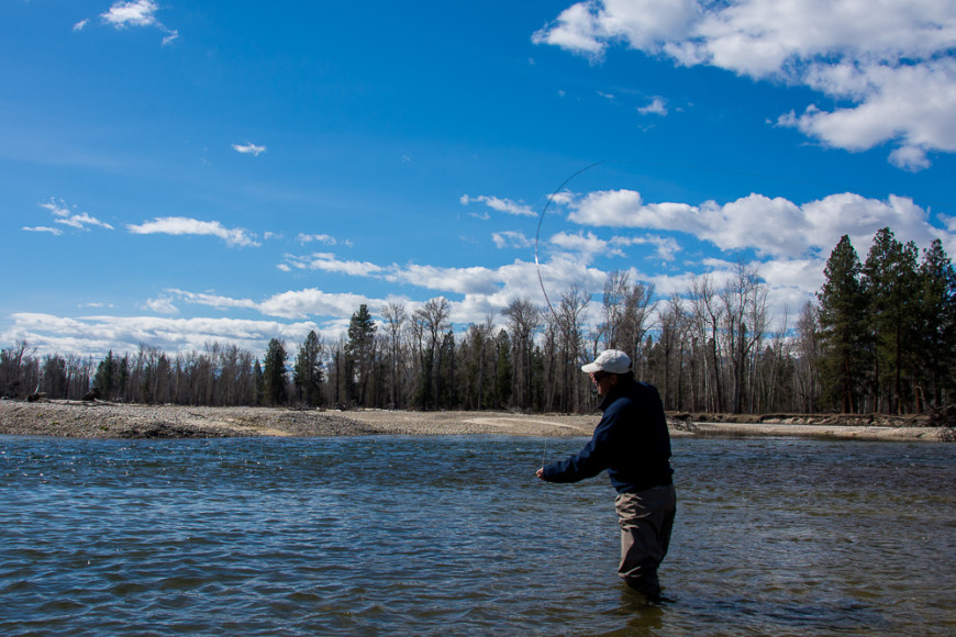 Wading the Bitterroot river. Photo by Tony Reinhardt.