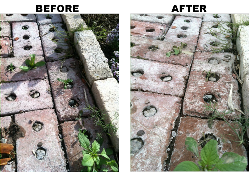 Frugal and Natural Weed Killer