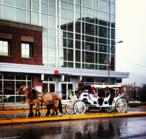 FREE Horse Drawn Carriage Rides by the Resort at Paws Up. Photo courtesy of Missoula Downtown Association.