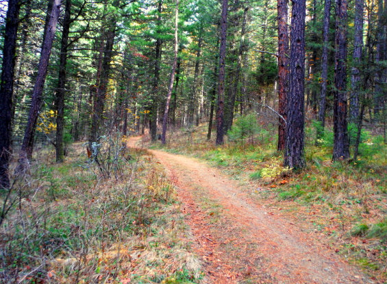 Keith_MM_WoodsGulchTrail