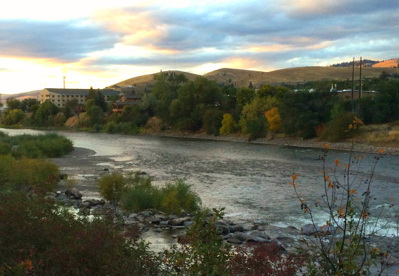 Krebill_MM_ViewfromKimWilliams