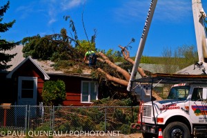 High winds brought a tree down onto a house on Van Buren Drive.