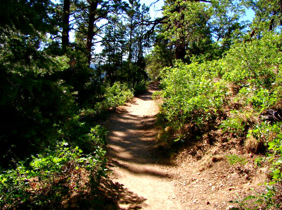 Sperr_MM_TowerStreetTrail