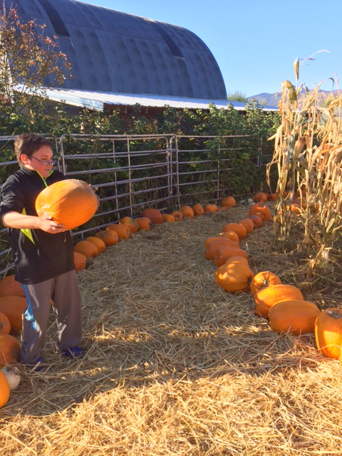 Turner family pumpkin patch