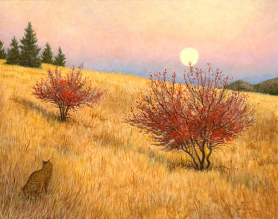 Mount Jumbo Moonrise (1)