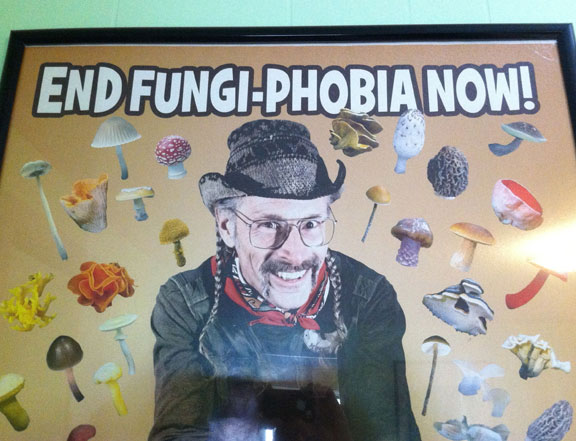 MushroomPoster