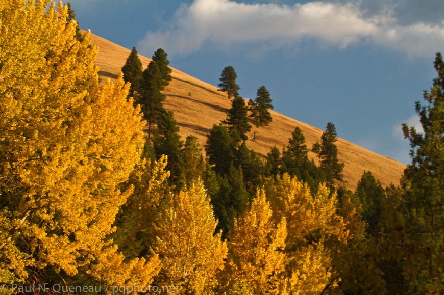 Mount Jumbo, bathed in gold. Click to see larger.