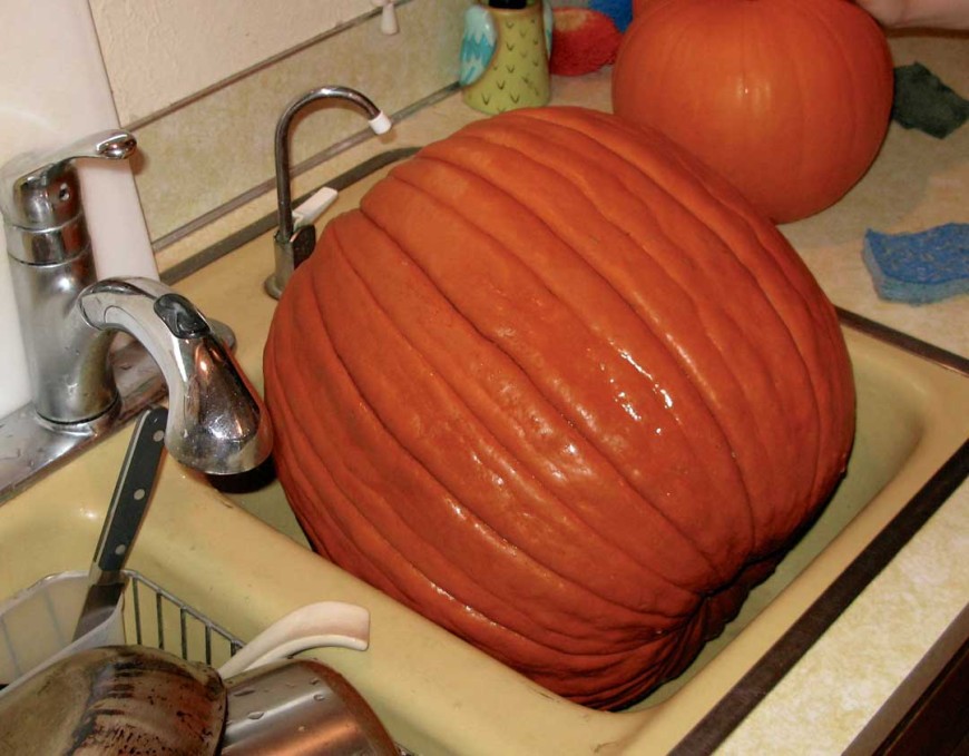 PUmpkinSink